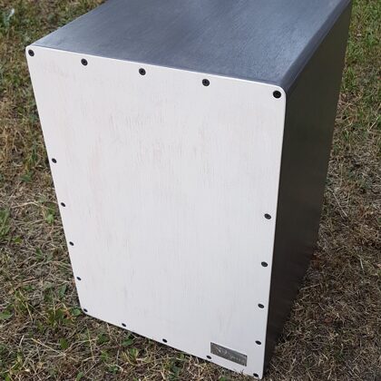 Mūzikas sitaminstruments – kahons.