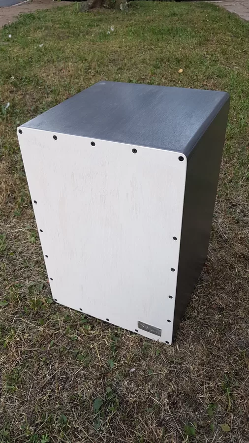 Mūzikas sitaminstruments – kahons.